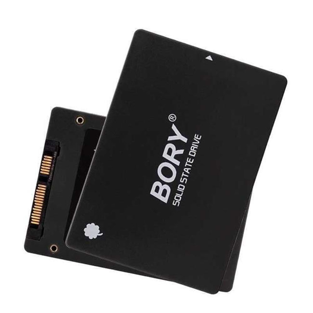 Bory R500 SSD 256GB 2.5