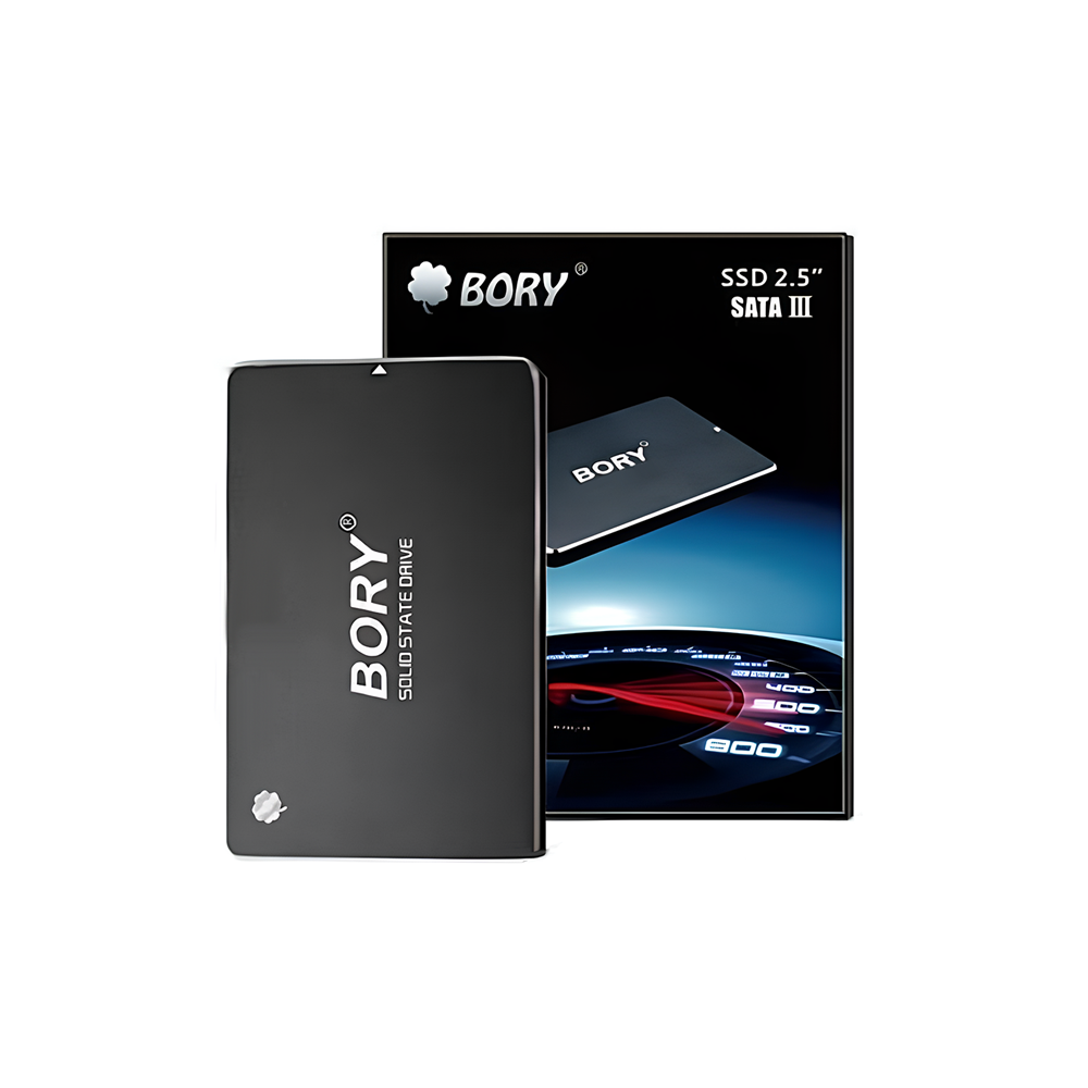 256 GB BORY SATA3 R500-C256G SSD 550/510 MBS