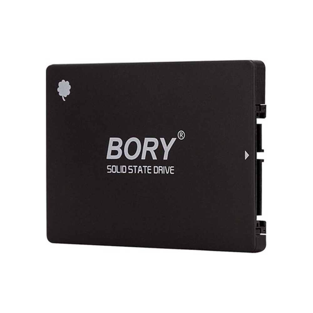 256 GB BORY SATA3 R500-C256G SSD 550/510 MBS