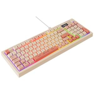 EVEREST KB-79 SLİENT PRO BEJ PEMBE TURUNCU RGB KLAVYE