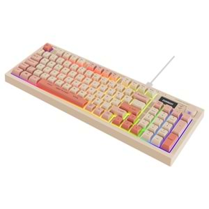 EVEREST KB-79 SLİENT PRO BEJ PEMBE TURUNCU RGB KLAVYE