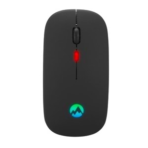 EVEREST SM-BT11 2.4GHz BLUETOOTH SİYAH MOUSE