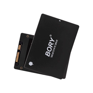 256 GB BORY SATA3 R500-C256G SSD 550/510 MBS