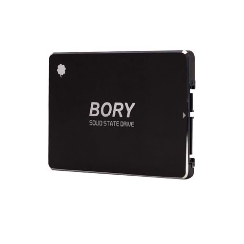 512 GB BORY SATA3 R500-C512G SSD 550/510 MBS