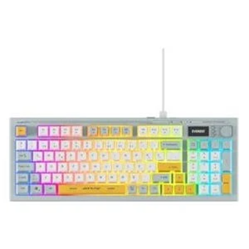 EVEREST KB-79 SLİENT PRO MAVİ BEYAZ SARI RGB KLAVYE