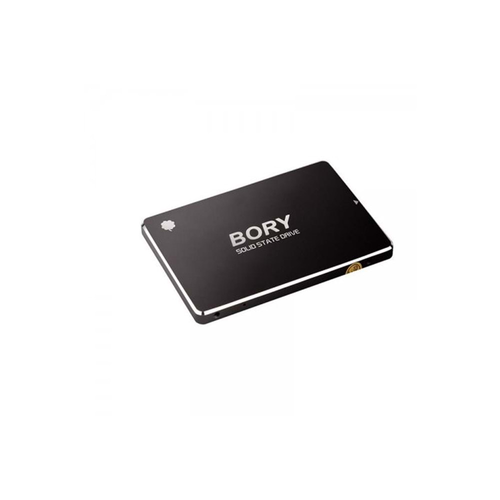 Bory R500 SSD 1TB 2.5
